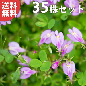 y35|bgZbgz TMSPEsN 9cm|bg sNTMSP sN c c A  _ EOhJo[