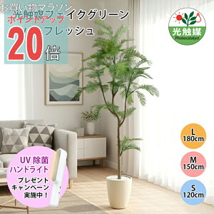 y}\ PO20{zyztFCNO[  ϗtA G} Go[tbV tFCNO[ lHϗtA 120cm 160cm 180cm t CeA O[ ȒP A[