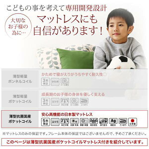 クイーンサイズベッドにもなるスリム2段ベッドWhenwillウェンウィル薄型抗菌国産ポケットコイルマットレス付きスタンダードクイーン
