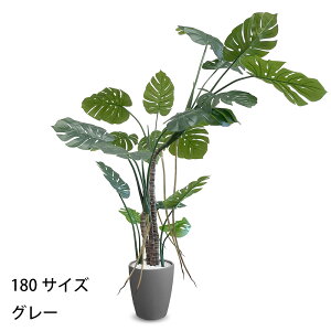 yyV}\ PO20{zXe tFCNO[ lHϗtA 120cm 150cm 180cm t CeA O[ ȒP