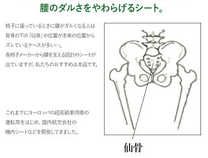 "腰痛でお困りの方必見"仙骨サポートシェル3Dチェアロータイプ/脚無し【RCP】【送料無料】