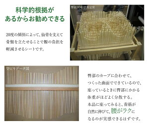 "腰痛でお困りの方必見"仙骨サポートシェル3Dチェアロータイプ/脚無し【RCP】【送料無料】