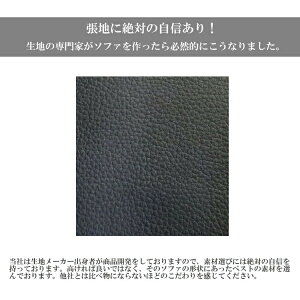 ソファーベッドソファベッドシングル"シングル"ソファー"ソファ"ベッド"モダンソファベッド"Radiale"-ラジアル-""sofa"ソファベッド"モダンソファ【RCP】【民泊にも最適】【送料無料】