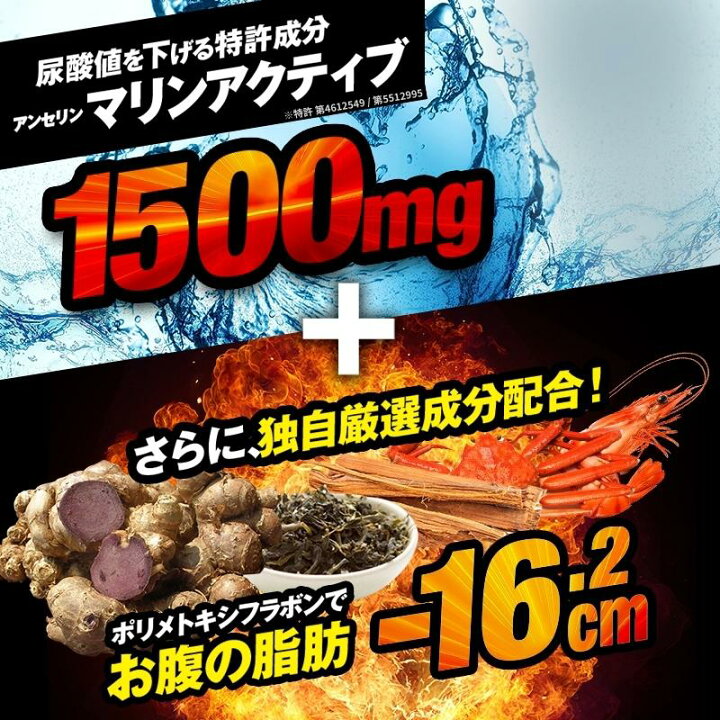 楽天市場】【 Wバスター 3袋 】 ダブルバスター 尿酸値 脂肪 機能性 