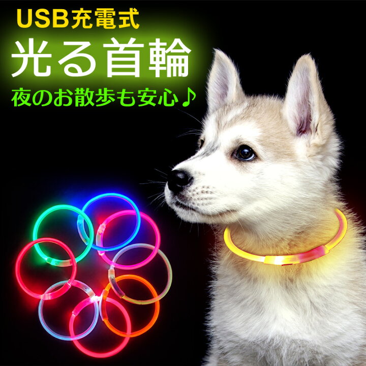 犬用 首輪 犬 おしゃれ 光る 充電式 LEDライト USB充電式 ペット 小型犬 中型犬 大型犬 散歩 夜 最も