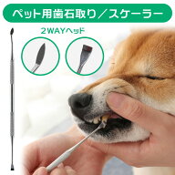 犬 歯石取り 器具 ペット用 スケーラー おすすめ ハンドスケーラー 家で スケラー 自宅 いぬ用 猫用 ネコ…
