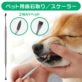 犬 歯石取り 器具 ペット用 スケーラー おすすめ ハンドスケーラー 家で スケラー 自宅 いぬ用 猫用 ネコ 老犬 老猫 デンタルケア用品 ヘルスケア デンタルヘルス 口腔ケア 虫歯予防 歯磨き 歯周病 歯髄炎 安全 歯石とり 歯石除去 お手入れ 7歳 10歳 12歳 13歳 14歳 15歳