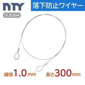 落下防止ワイヤー カットワイヤー 線径 1.0mm 長さ 300mm 使用荷重20kg セーフティケーブル ステンレス ワイヤーロープ 吊り具 高天井器具用 展示
