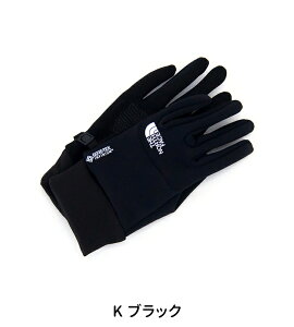 THE NORTH FACE UEm[XEtFCX EChXgbp[C[`bvO[umNN62309nyBASICz