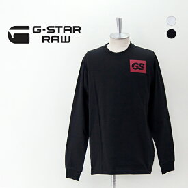 【SALE 30%OFF】G-STAR RAW ジースターロゥ メンズ GS RAWバックグラフィック Tシャツ［D23995-C336］【2023FW】【返品交換不可】