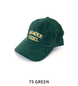 THE SHINZONE V][ fB[X _[tH[QLbvm25AMSIT05ny2025FWz