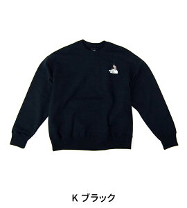 THE NORTH FACE UEm[XEtFCX jZbNX Y[sbJ[N[mNT12536nyBASICz