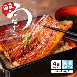 yz Y Ȃ 4Zbg Y ȂĂ Mtg  Ε  O {V {V ܓ̉ Eldグ ΂  ^pbN Ⓚ ^ Rt 