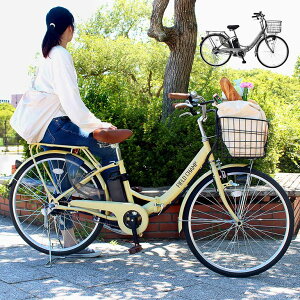電動 自転車 カゴ 付きの人気商品 通販 価格比較 価格 Com