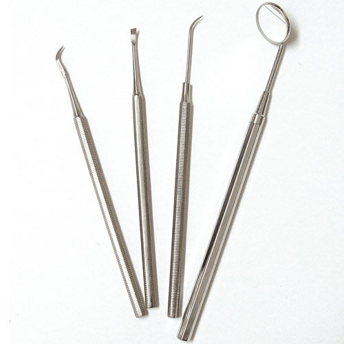 楽天市場 オーラルケア4点セット 歯医者が使う 歯石取り スケーラー 歯石 けずり 歯間ようじ 除去 ヤニ取 デンタルミラー デンタルツール デンタルケア 歯磨き 掃除 ペット 犬 歯垢 虫歯 チェック 歯周病 歯 黄ばみ 対策 予防 ミラー 口内鏡 自分で 家庭用 U Port