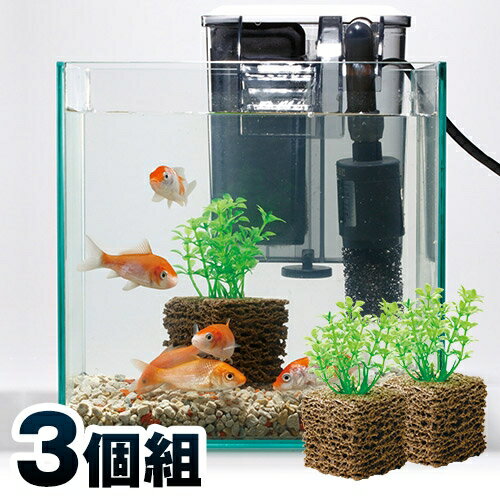 楽天市場 お魚天国バイオキューブ 3個組 セラミック ろ過 フィルター 濾過材 バクテリア 水換え 簡単 熱帯魚 水垢 水槽 U Port ユーポート