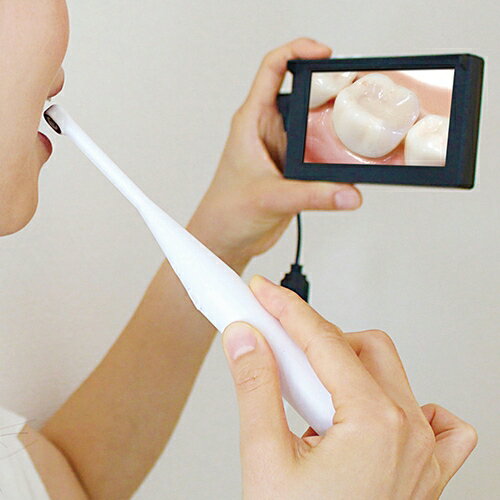 楽天市場 デンタルカメラモニタリングセット 歯磨き チェック カメラ 動画 口腔内スコープカメラ Tooth Scope Lcd 送料無料 U Port ユーポート