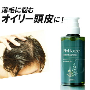 XJvVv[ j [ p oCInEX XJv Vv[ ] ̓v[g pI ̓Mtg 2025  Vv[ Y  eꔄ 򕔊Oi  L V