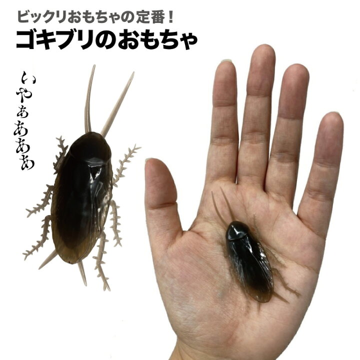 楽天市場 ゴキブリ おもちゃ ドッキリ いたずら フェイクパーティーグッズ パーティ 二次会 催事ジョークグッズ リアル 子供 大人 ユニーク 虫 おもしろギフト プレゼント 景品 バラエティ バラエティ雑貨ユーカンパニー Cocollage