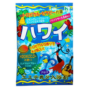 GXeC ܁ynCzgsJZs[̓ @O[vt[c@IWGLXzgsJ}S[̍@FFGhu[@40gx10pbNy[֑