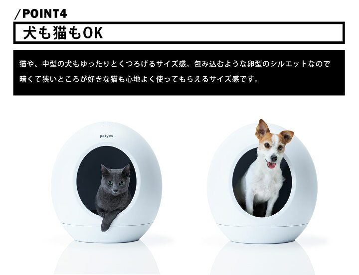 楽天市場】【商品仕様変更予定に伴い今だけ価格】 【30%OFFクーポン 