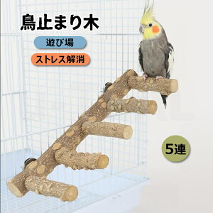 Ep i`Ebh5Ap[` t ~܂ Xebv Ki ؐ ^s XgXU ܂̂ Vя xݏ Vя p Ƃ܂ Ki X^h pi Xe