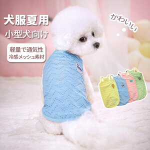   Ђ ⊴ bV tVc N[ ybgEFA hbOEFA xXg   ėp ^ ^ ΍ Eѕی ėp ^ ⊴bVf yʂ