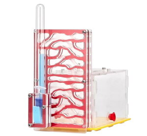 y2025VozA甠 apP[X AɐB  Ȃ apP[X AN yċx݂̏h⎩RɁz ȃώ@Lbg a   R  