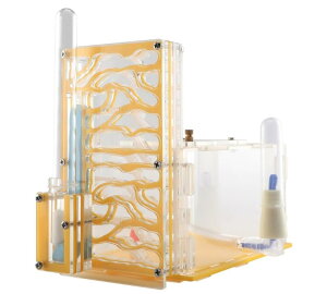 y2025VozA甠 apP[X AɐB  Ȃ apP[X AN yċx݂̏h⎩RɁz ȃώ@Lbg a   R  