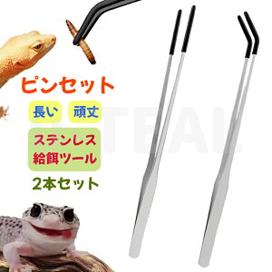 sZbg  XeXX`[঒މagO 2{Zbg ŃGNXgO Xg[g&J[uOsZbg   JG gJQ ac[