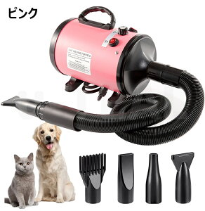 ybgphC[ p hC[ ybghC[ 4mYt iK pt啗 phC[ ^  hC[ Ɩp ƒp [h lC  