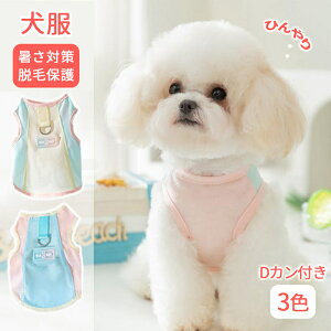   ^Ngbv Ђ ⊴ bV tVc N[ DJt ybgEFA hbOEFA xXg   ėp ^ ^ ΍ Eѕی