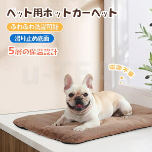 ybgpzbgJ[ybg 5w̕ۉ݌v ۉpbh dsv ybgpq[^[ g[ybgpbh ̉~M ybgpѕz ~ߒ ӂӂ\ hh  L ^  