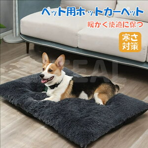 ybgp zbgJ[ybg ybgxbh~ ۉpbh dCsv ybgxbh g ybgxbh 􂦂 ybgpq[^[ g[ybgpbh  xbh}bg ~ߒ ӂӂ h