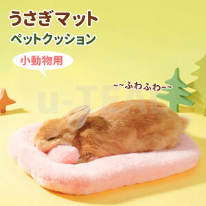  xbh  }bg  ybgp 悹  ӂӂ ETM bg NbV ybgxbh nX^[ ``  q  ֗ zc  킢 