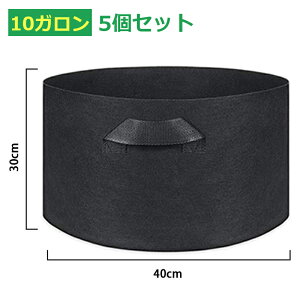 ͔| 5Zbg v^[ z tFg sDz|bg A K[f ʋC diy | A琬 ؍͔| e K[fjO y sDzv^[ sDz|bg K[f | A