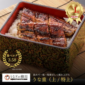 【国産】芸能人御用達 うな重（上/特上）1～6人前 鰻 ウナギ 蒲焼き 蒲焼 かば焼き かばやき グルメ お取り寄せ 九州産 熊本 鹿児島 宮崎 ふるさと ギフト 贈り物 プレゼント 贈答 うなぎの柳川 卒業祝い 入学祝い