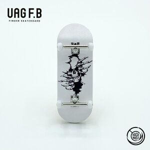 UAG F.B vRv[g SKELETON wXP wXP{[ tBK[{[h  mߋ X|[cgC ؐ  gς w w Z l j̎q ̎q XP{[ J̓ C