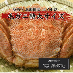 kCY уKj {Cp 1t 790g TCY ъI@тɁ@Ɂ@I