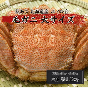 kCY уKj {Cp 2t 1.2kg i1t550g~650gjTCY ъI@тɁ@Ɂ@I