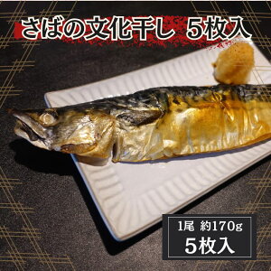 ΂̕@170g×5@mEF[Y@^I@I@To@ċ@؂g