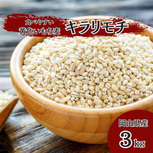  RY L` y3kg@1kg×3pbNz  ߘa7NY@  ̂
