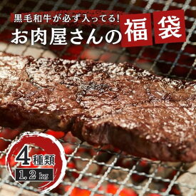 黒毛和牛入りお肉屋さんの福袋　4種以上1.2kg以上　10,000円相当 牛肉 黒毛和牛 国産 焼肉 牛たん 家族用 大容量