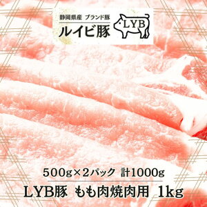 ÉxmR[Y LYB ēp XCX 1kg 500g ×2P ÉxmR[Y uh ؓ ē W[V[   uh Ⓚ Cr 唻 LYB 