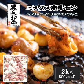 九州産 黒毛和牛　ミックスホルモン　2kg（500g×4）冷凍 焼肉 BBQ もつ鍋