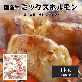 国産牛　ミックスホルモン 1kg（500g×2）冷凍 焼肉 BBQ もつ鍋