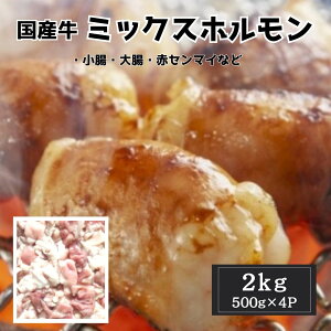 Y@~bNXz 2kgi500g×4jⓀ ē BBQ 