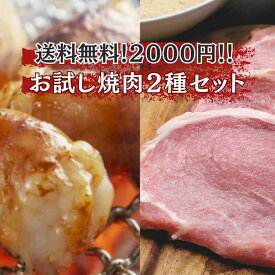 【お試し焼き肉2種セット】LYB豚ももとマルチョウの焼き肉セット 富士山麓産ブランド豚 豚肉　ホルモン 送料無料