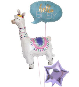 yy/yj/zoYj o[ D  d  Mtg v[g j  g-bby-0069 wEKX ē͂ ʐ^fyyMt_bŹzyy_N