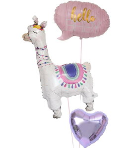 yy/yj/zoYj o[ D  d  Mtg v[g j  g-bby-0070 wEKX ē͂ ʐ^fyyMt_bŹzyy_N